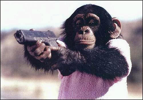 chimpee-glock.jpg